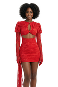 Lace Bodycon Mini
