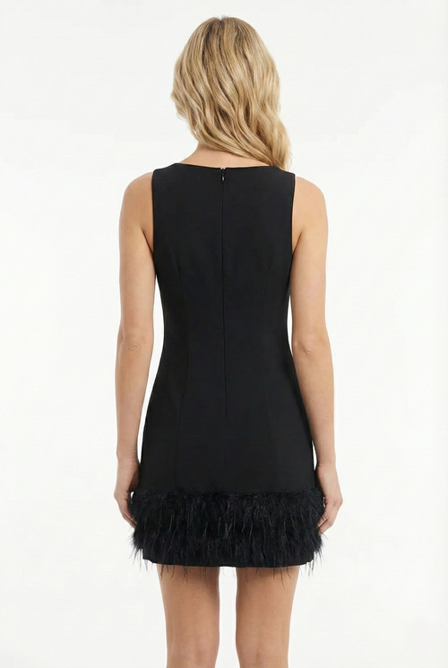 Black Feather Dress
