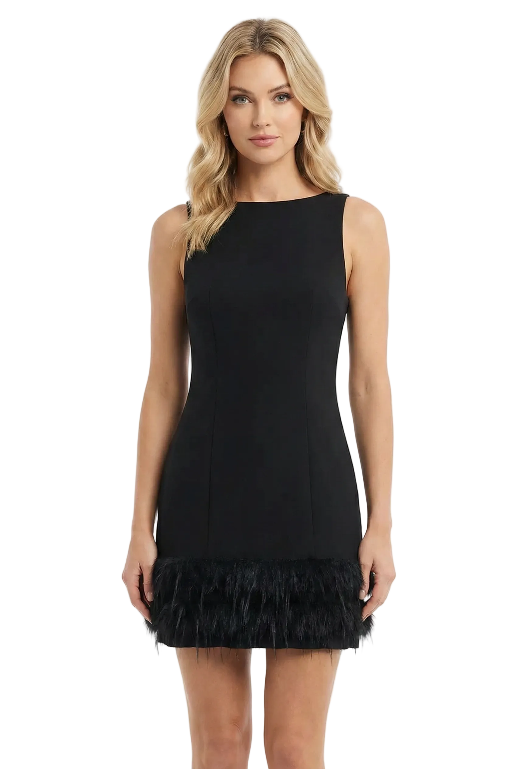 Black Feather Dress