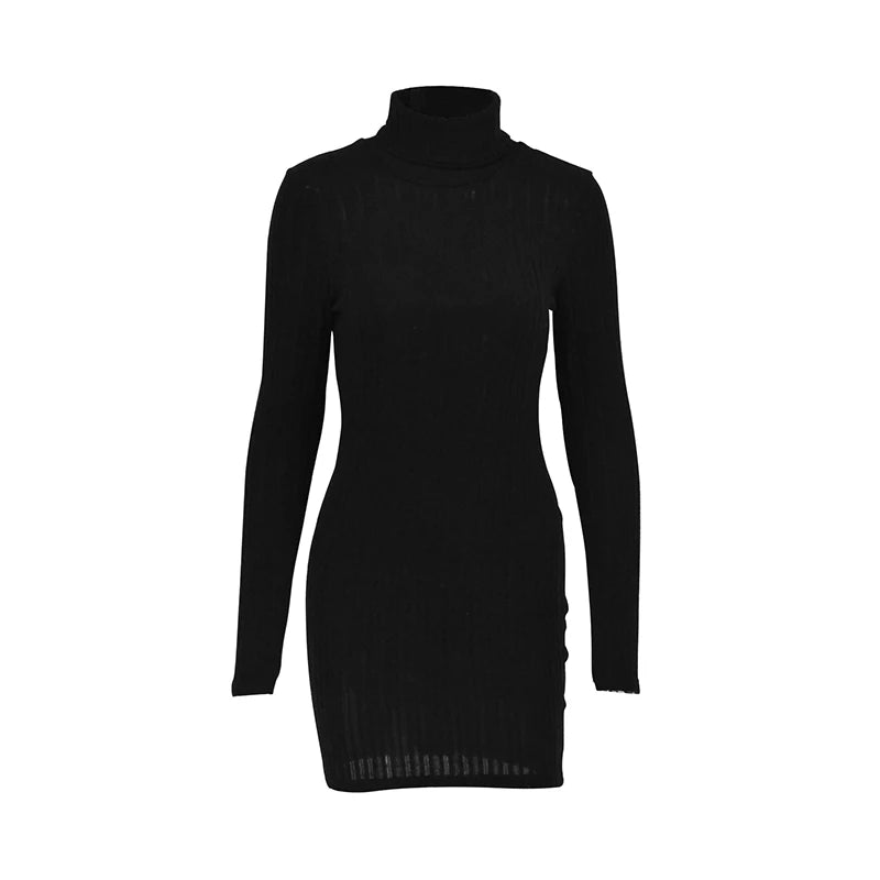 Women Dresses Elegant Party Autumn Winter New Turtleneck Long Sleeves