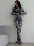 Hugcitar 2024 Leopard Print Mesh Long Sleeve Sexy Slim  See Through