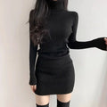 Fanan 2024 New Turtleneck Sweater Dresses Lady Sexy Slim Streetwear