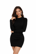 Turtleneck Sweater Dress