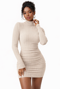 Turtleneck Knitted Dress